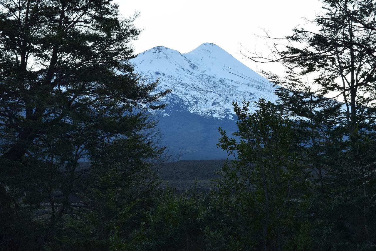 Vista Hermosa Conguillio Villa Luaran gambar